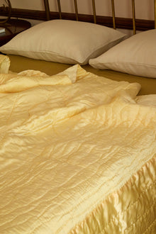 Burro SIlk Coverlet